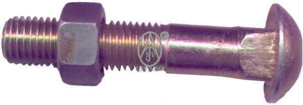 carriage bolt With Nut